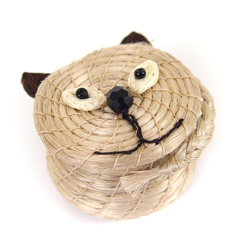 Cool Cat Lidded Basket